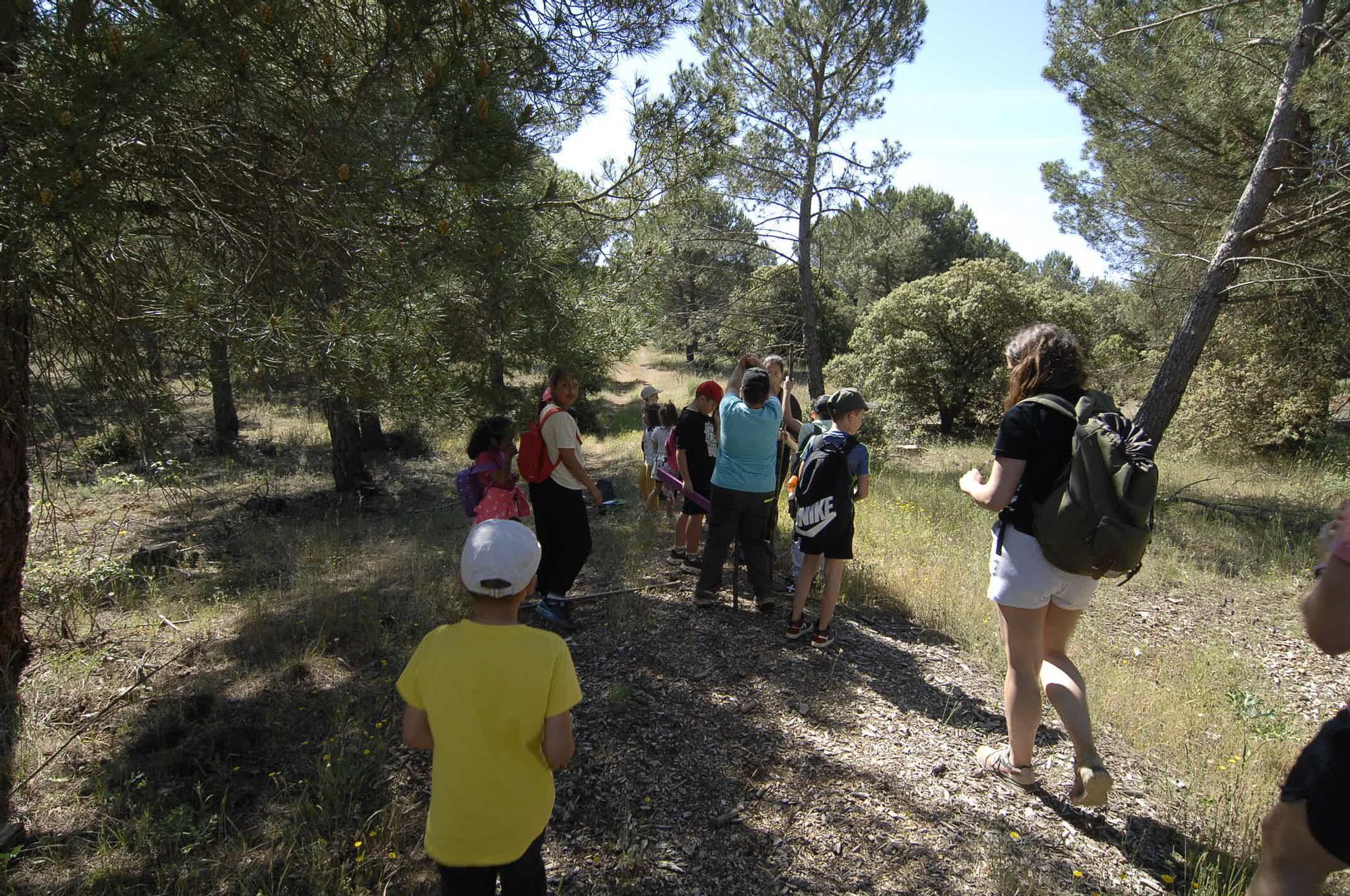 GALERÍA | "Érase una vez una senda verde" en Quiruelas de Vidriales