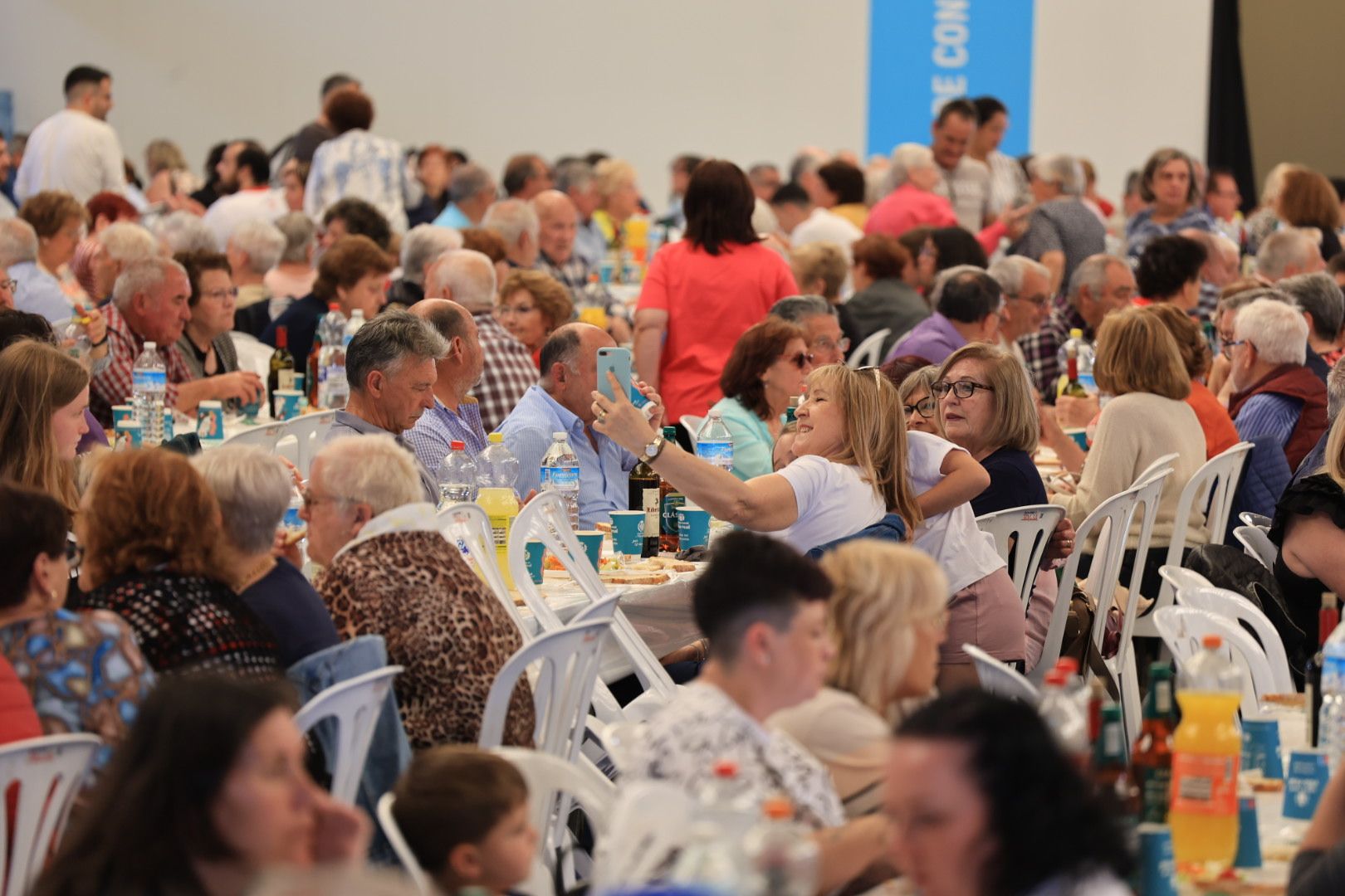 FOTOGALERÍA I Las imágenes de la sexta jornada (miércoles) de las fiestas patronales de Sant Pasqual en Vila-real