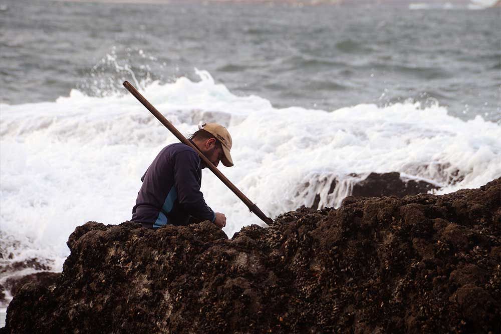 Los gladiadores de las rocas