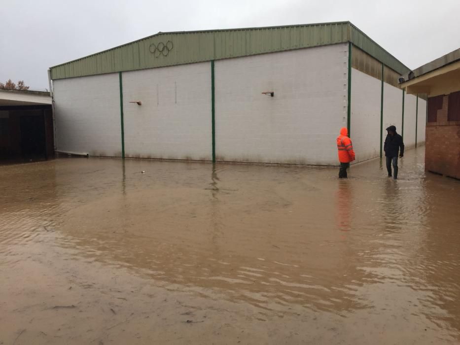 Efectos de la lluvia en Campillos