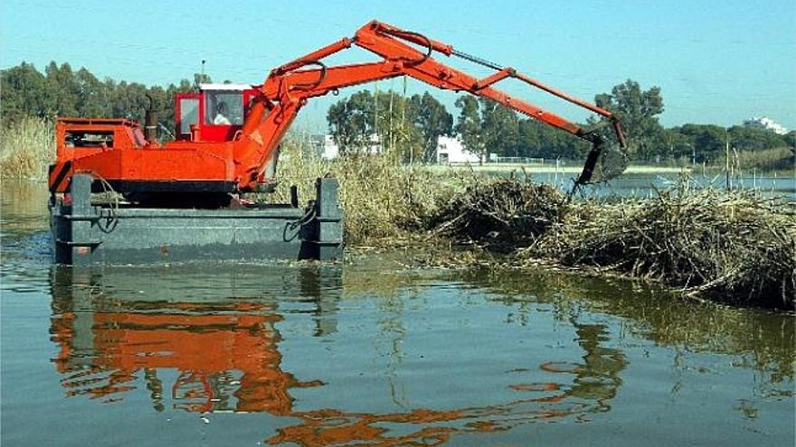 Los expertos discrepan sobre la necesidad de dragar la Albufera