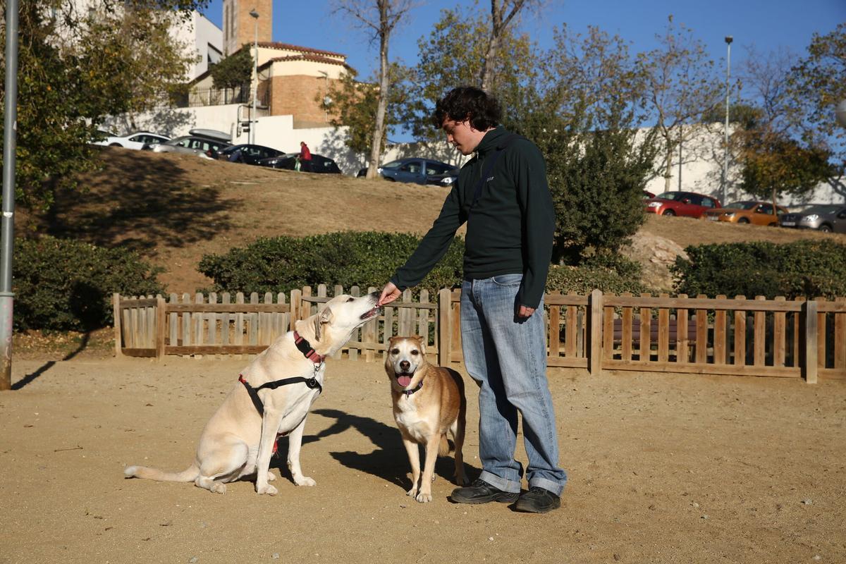 BARCELONA 18/12/2023 Barcelona. Primer dia de la obligación de llevar los perros atados en la calle en Barcelona En la foto zona donde los perros pueden ir sueltos en los Jardins de Hiroshima. Zonas de Uso Compartido ( ZUC ) FOTO de ELISENDA PONS