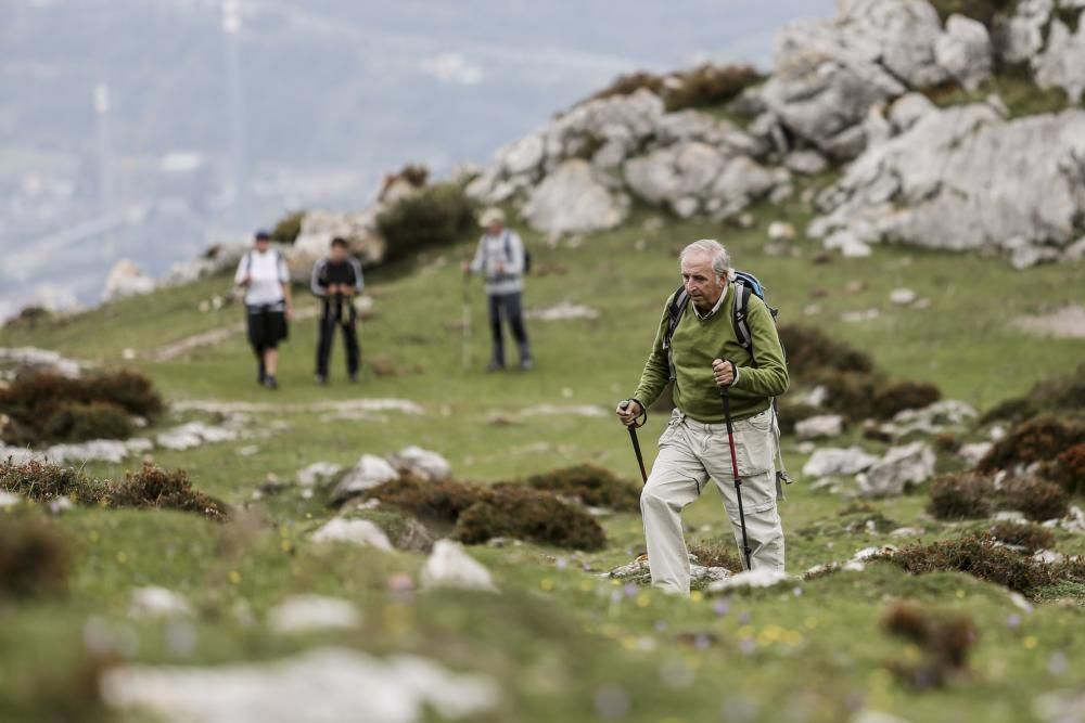 Ruta de las Santas Reliquias, entre Oviedo y el Monsacro