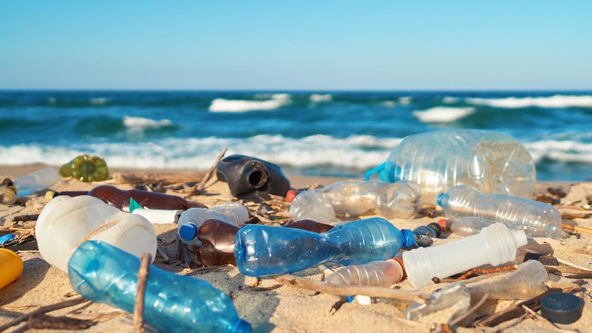 El Mediterráneo se muere: apremian a legislar para frenar su contaminación