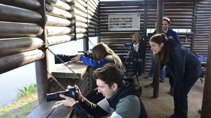 La contaminación de aves protegidas por ingerir gomas se dispara en el Clot de Galvany de Elche