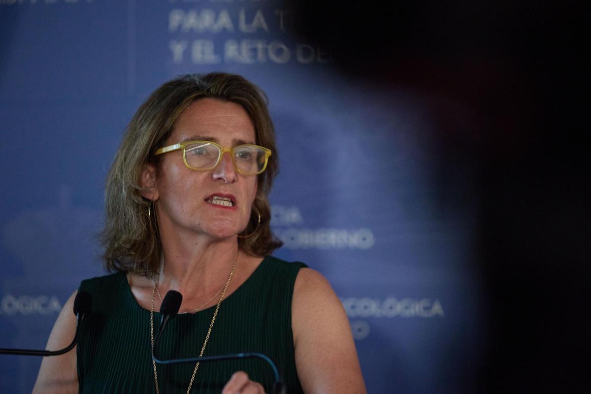 Teresa Ribera: “No contemplamos restricciones para la industria ni los hogares”