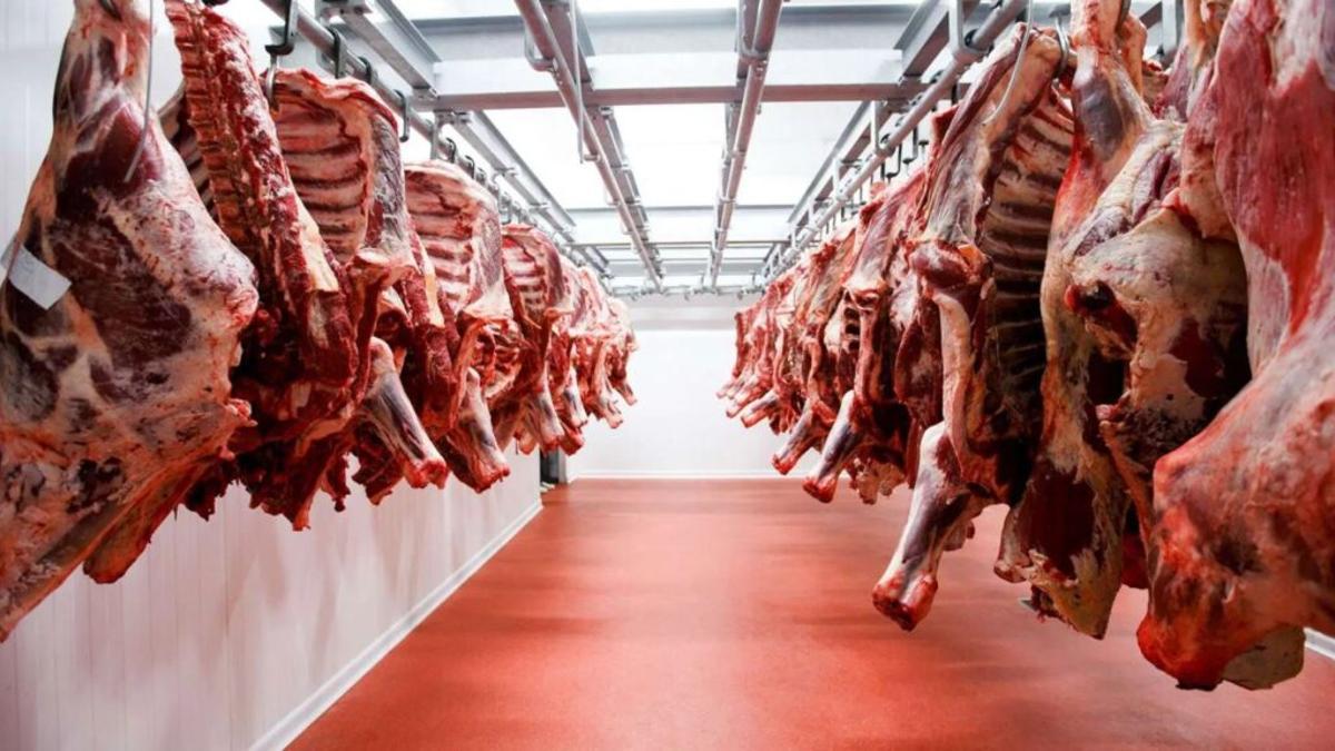 Debate en EEUU: ¿Por qué comer carne de ternera destruye el planeta?