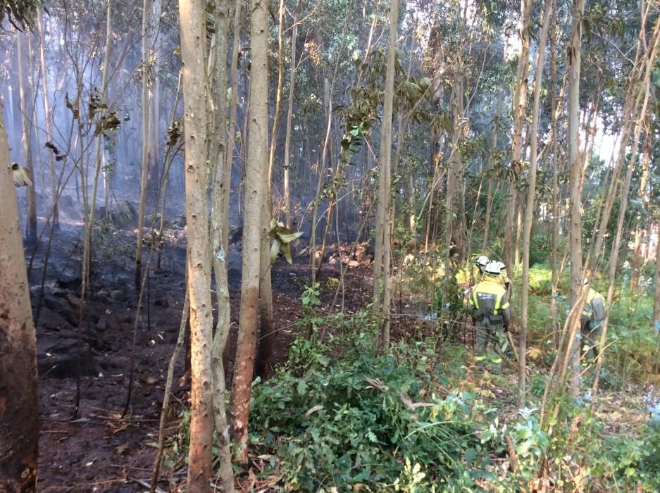 El fuego comenzó pasada la una de la madrugada en Cunchido, cerca de Santa Marta - Acudió una brigada de Medio Rural y Protección Civil, que estuvieron hasta las 06.00 horas