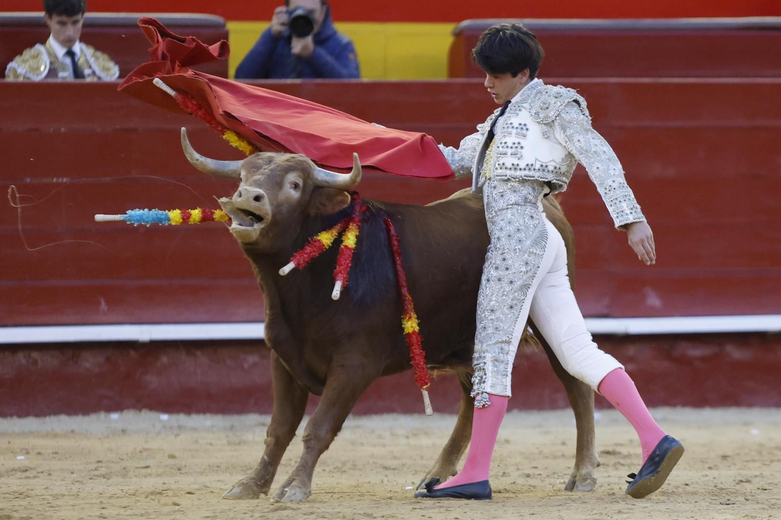 La novillada sin picadores de la Feria de Fallas, en imágenes