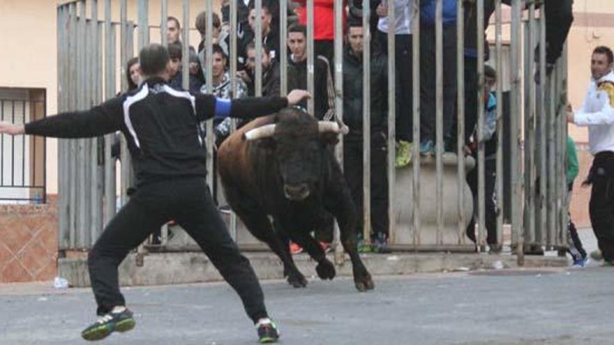 Suspenden el toro embolado en Benigembla