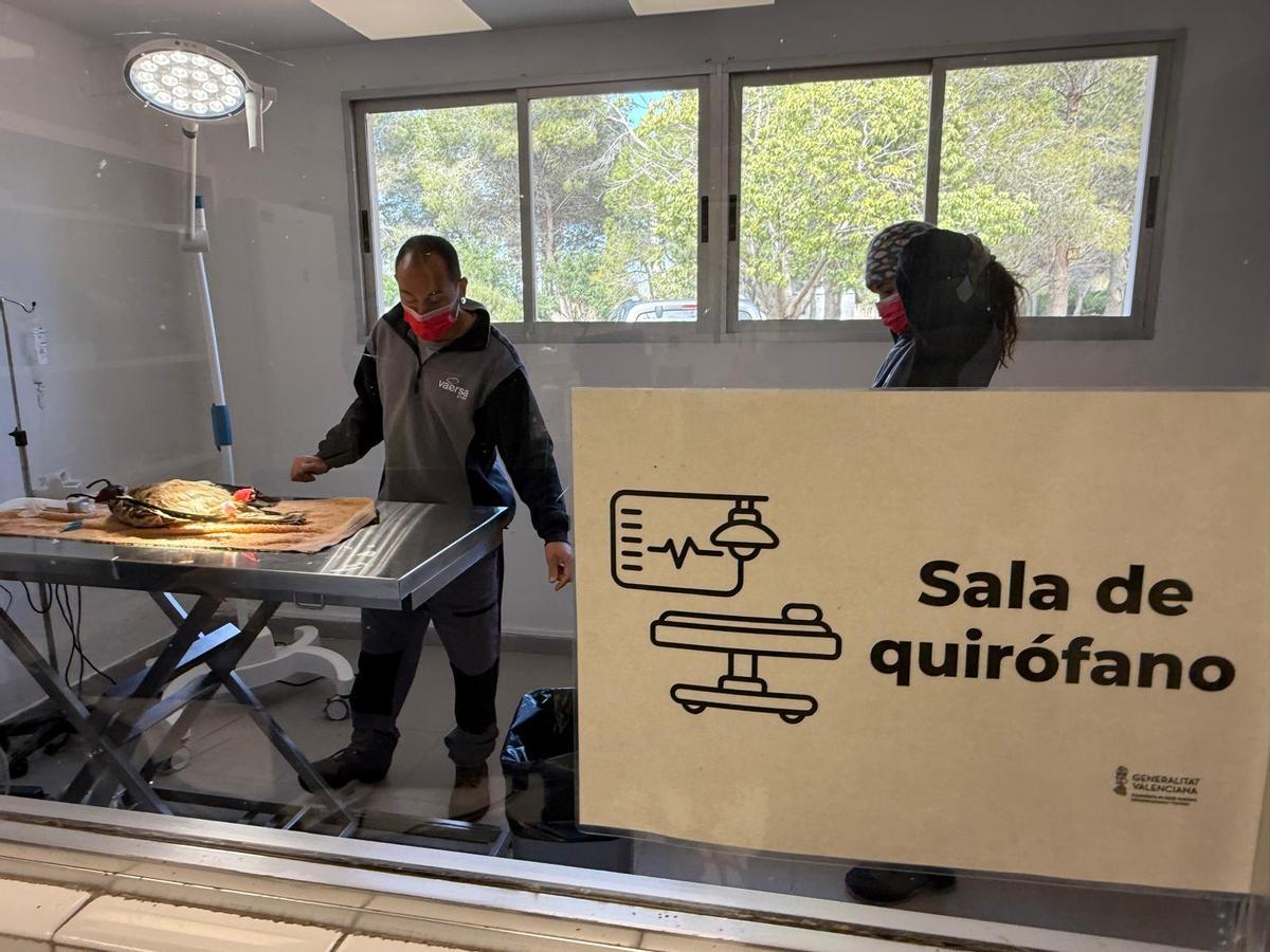 Sala de quirófano en el Centro de Recuperación de La Granja de El Saler