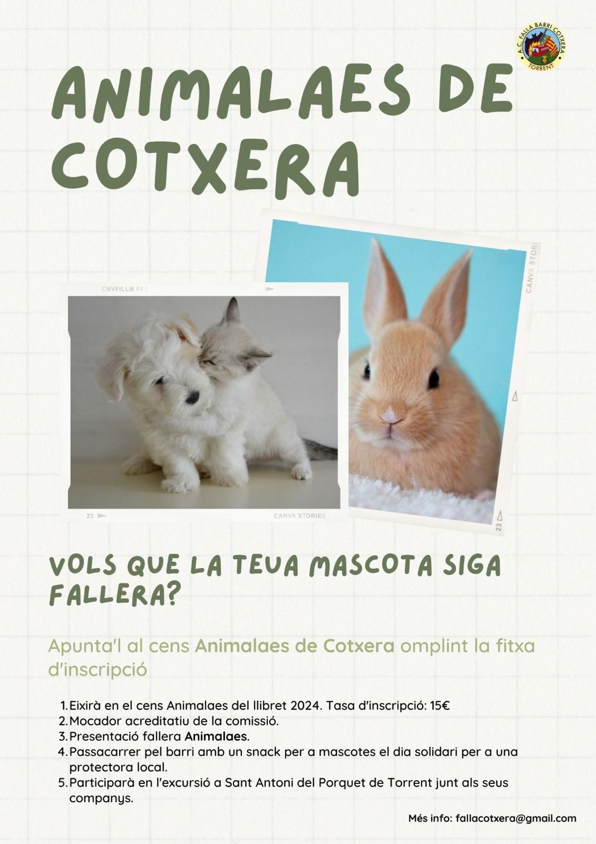 Cartel promocional de la primera falla para mascotas