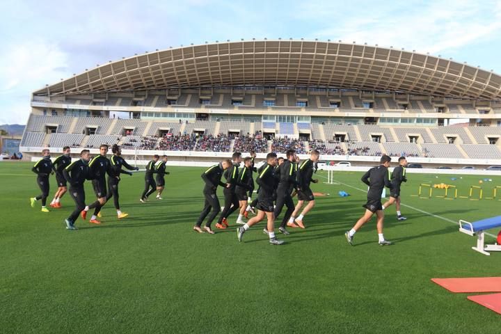 malagacf