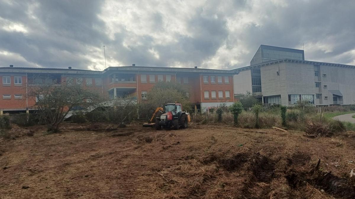 Una de las fincas de La Ería en Lugones, tras los trabajos de limpieza por parte del Ayuntamiento.