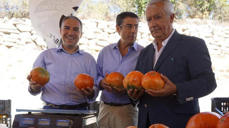 Elías Bendodo, Javier Arenas y Fernando Fernández.