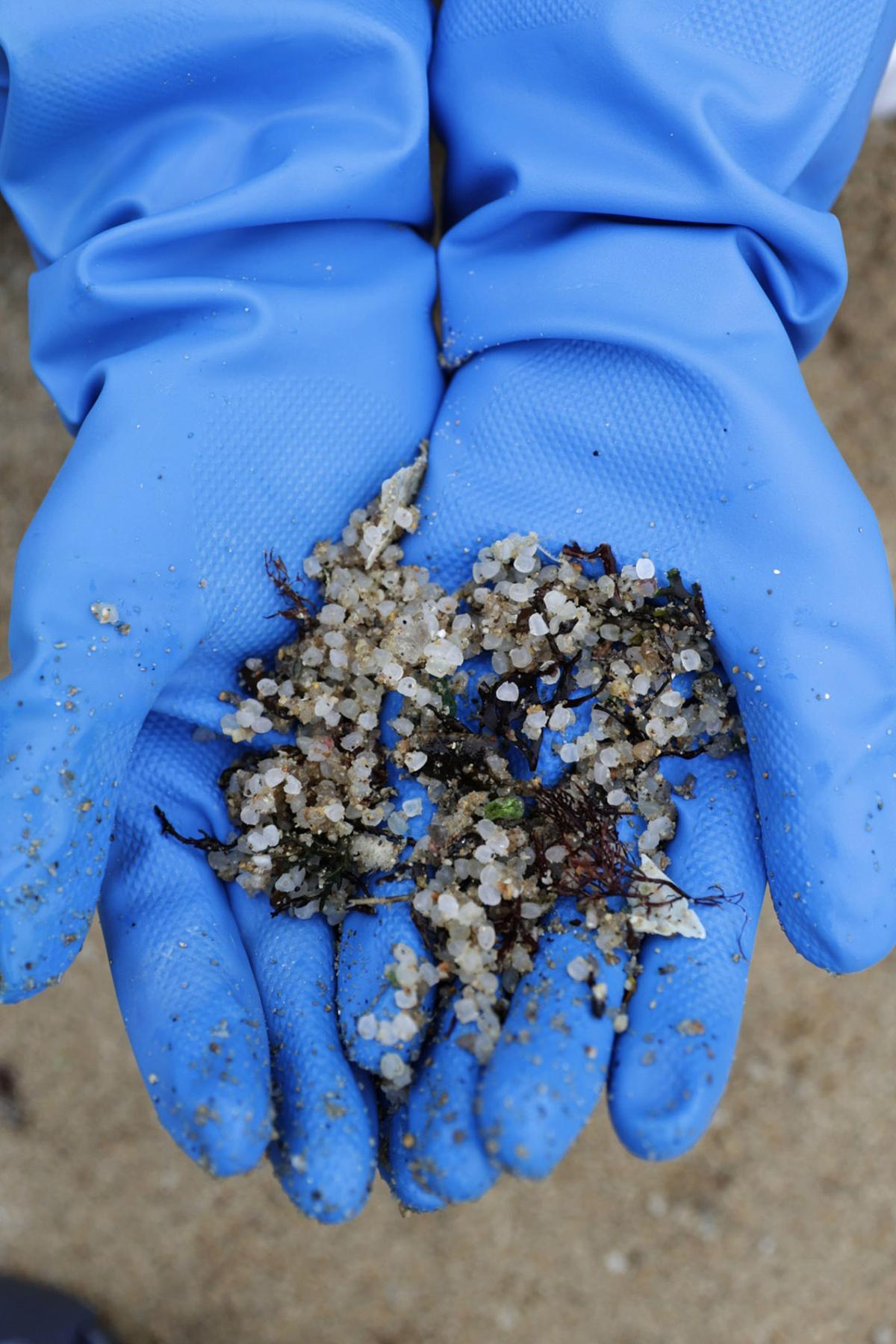 Contaminación marina por el vertido de pellets en la costa gallega