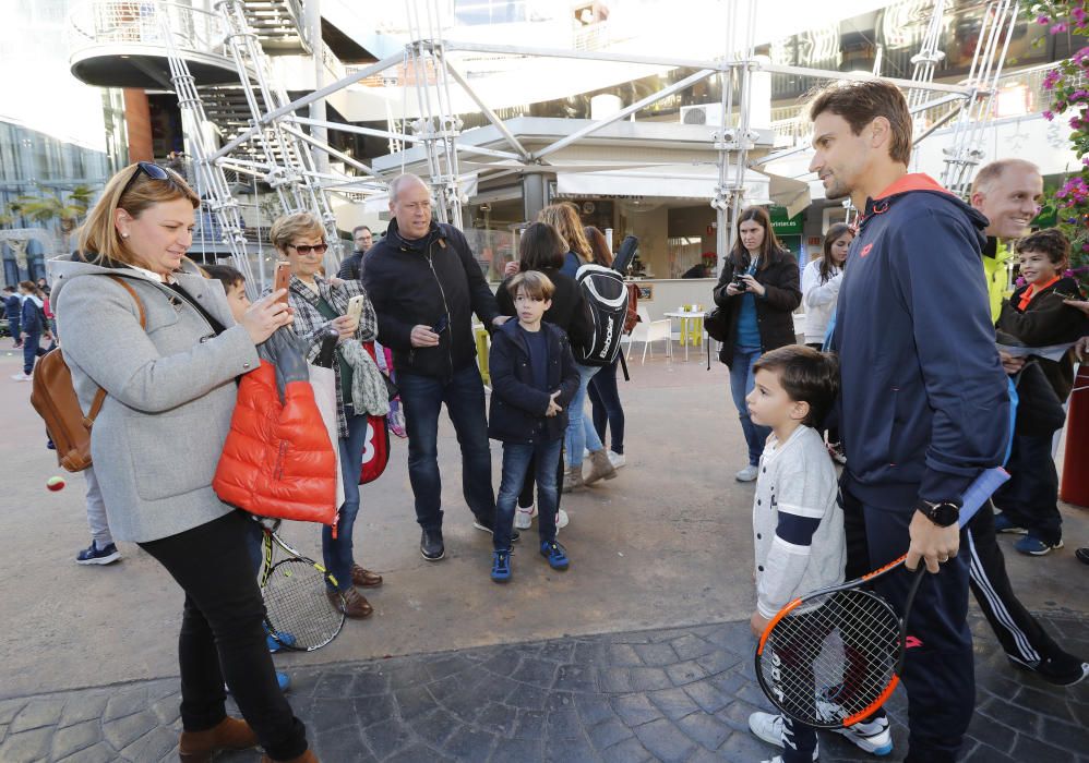 Baño de masas de David Ferrer en Valencia