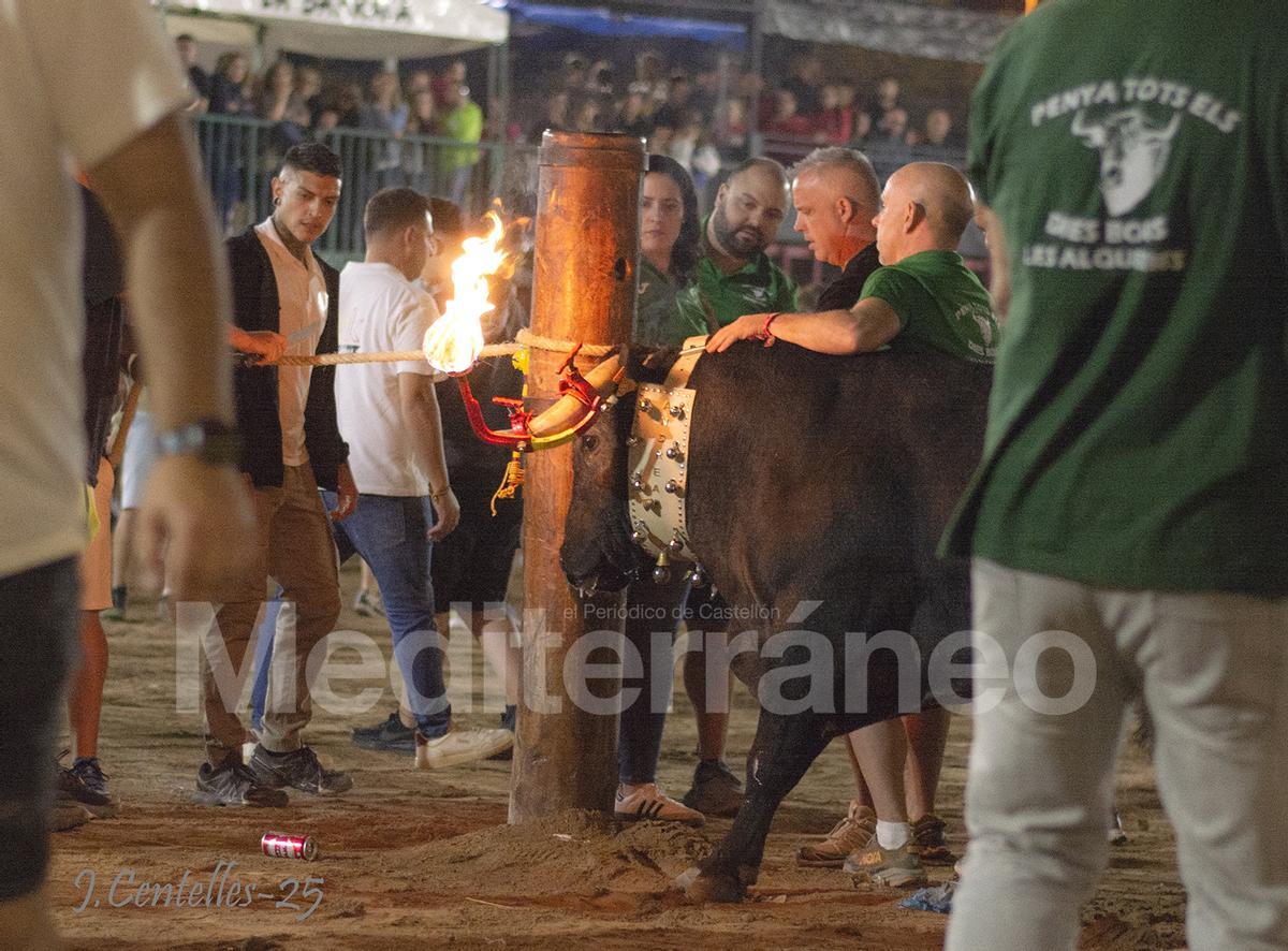Bous a Les Alqueries 2025