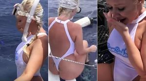 L’actriu de cine per a adults Molly Cavalli rodava un espot submarí a Florida quan va ser sorpresa per un tauró.