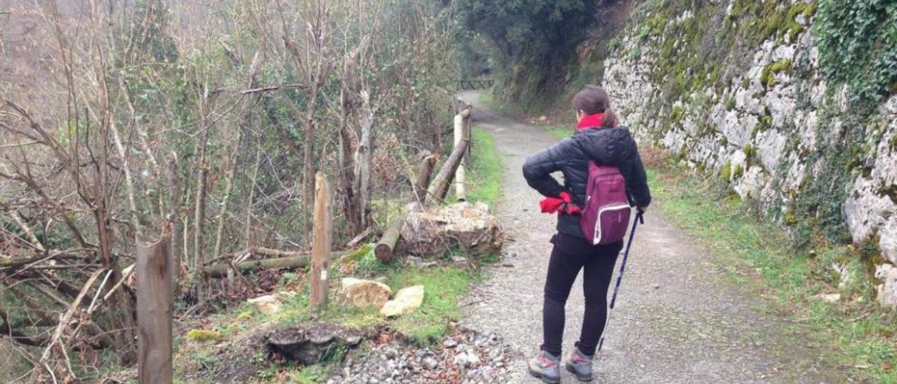 Proaza-Quirós, por la senda del abandono