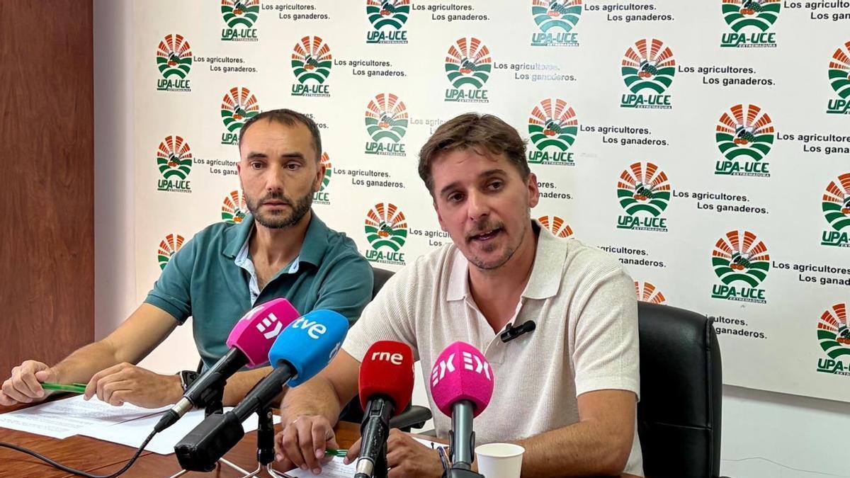 El secretario general de UPA-UCE Extremadura, Óscar Llanos, este martes.