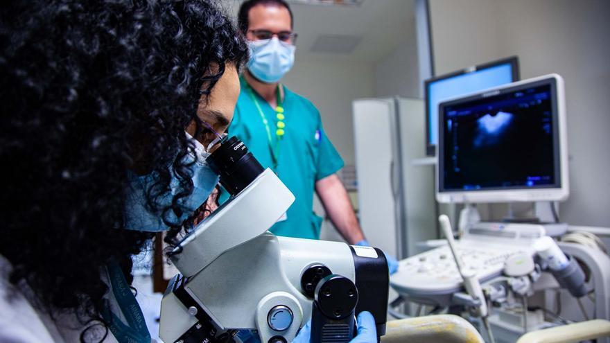 Entre 300 y 400 andaluzas serán diagnosticadas de cáncer de cérvix este 2025
