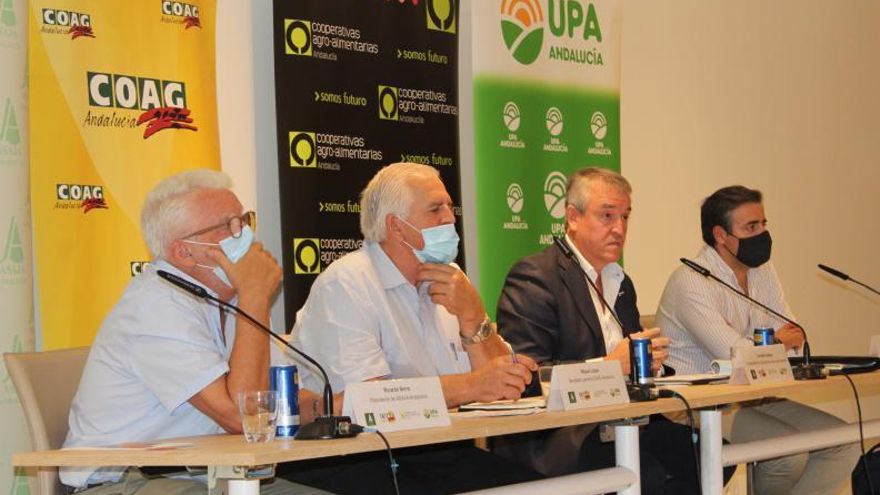 Los representantes de las organizaciones agrarias andaluzas, durante la rueda de prensa de ayer. | CÓRDOBA