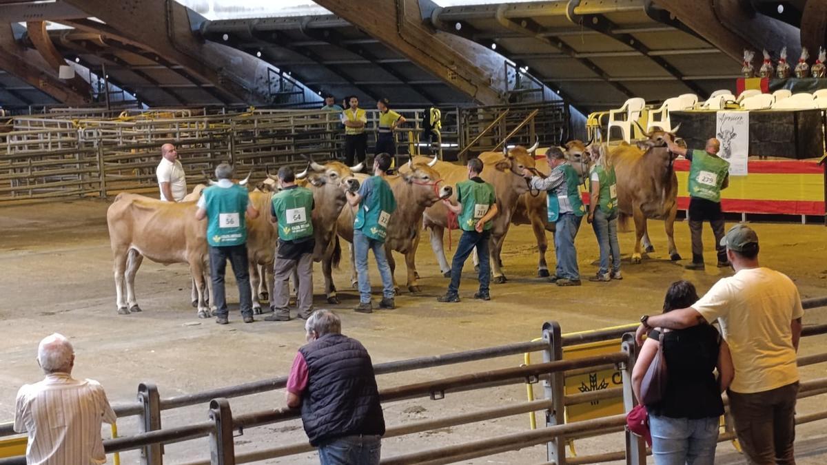 WhatsApp Image 2025 09 20 at 12.23.43