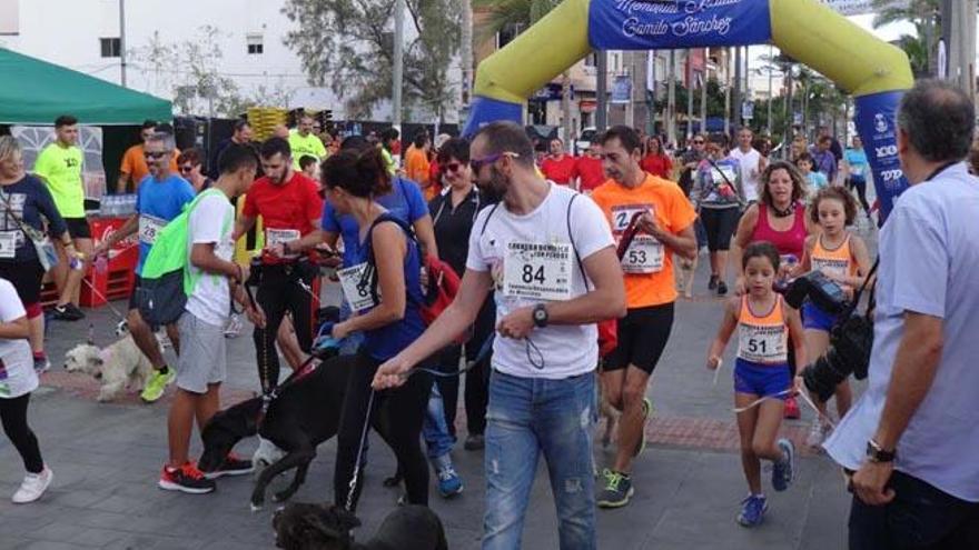 Preparados, listos... ¡Guau!