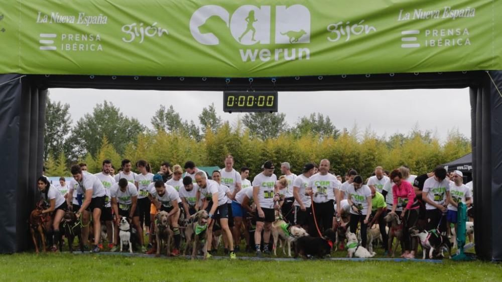 "Can We Run" reúne a más de 400 perros y corredores en el Parque Fluvial de Viesques, en Gijón.