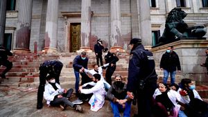 Activistes llancen pintura vermella a la façana del Congrés en protesta de la nova llei de canvi climàtic