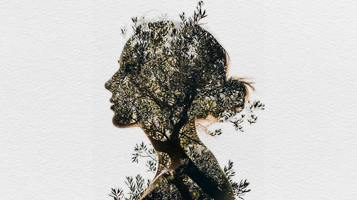 Asturias da entidad legal a las que tiran del pueblo