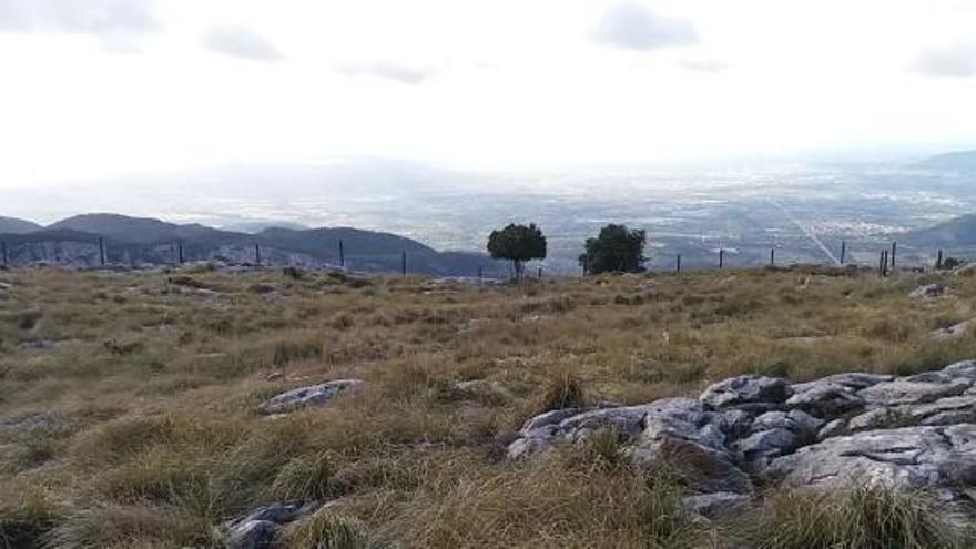 Baustopp für Haus mitten im Naturschutzgebiet der Tramuntana