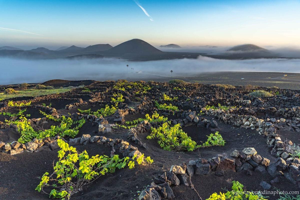 Amanecer en La Geria, la zona de viñedos más conocida de Lanzarote y una de las más singulares del mundo.