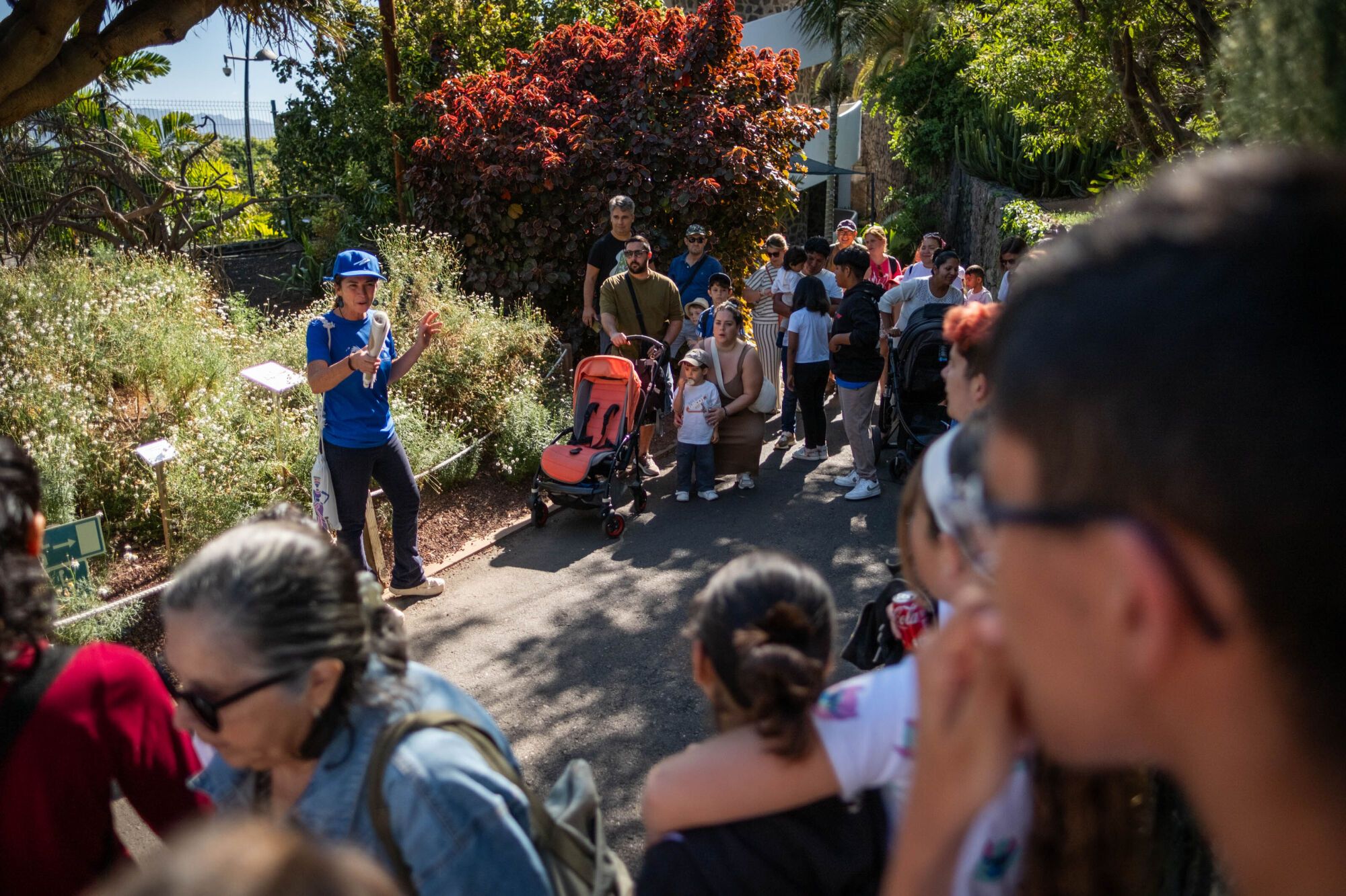 Visita al Palmetum con los integrantes del proyecto de integración social Birmagen

 