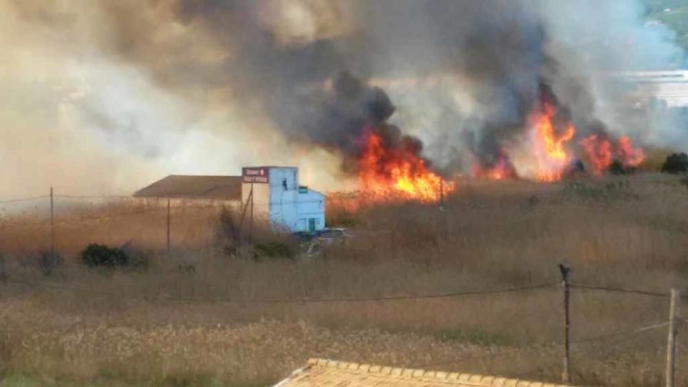 El fuego arrasó buena parte de ses Feixes