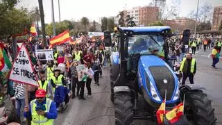Los tractores entran en el casco urbano de Córdoba para exigir mejoras en el campo