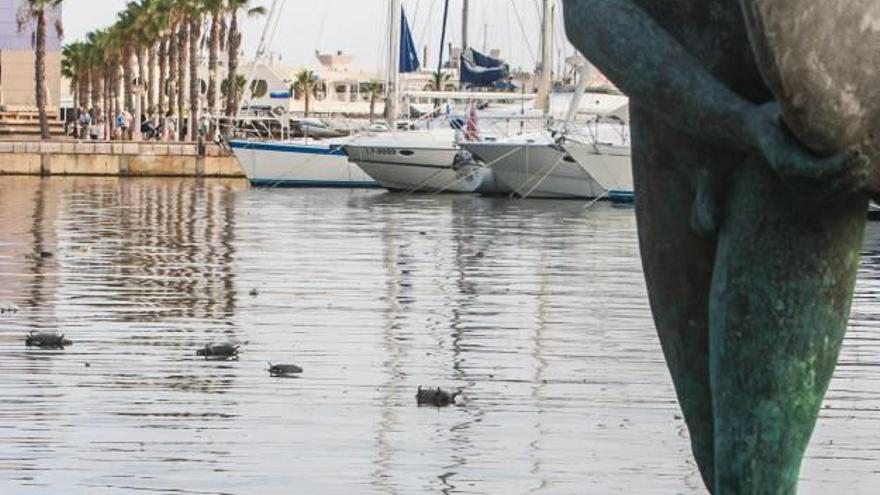 El puerto se llena de ratas