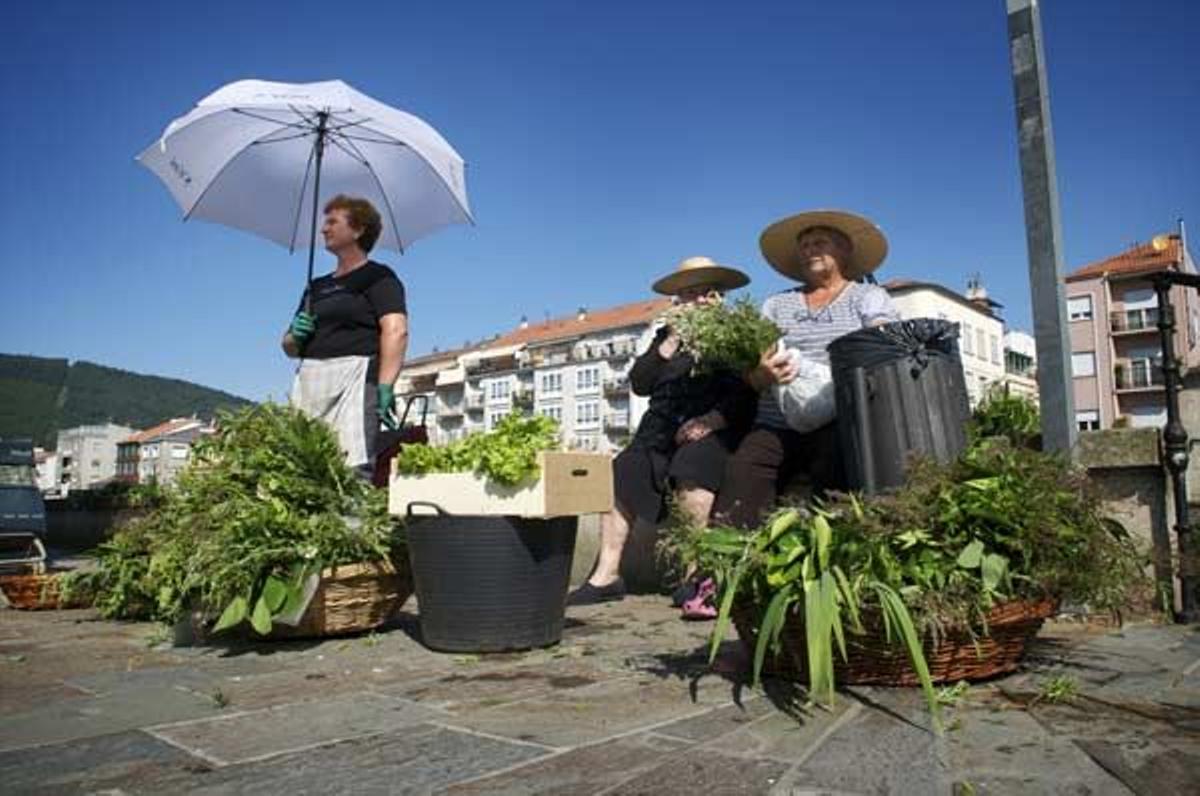 Camino_Santiago_1