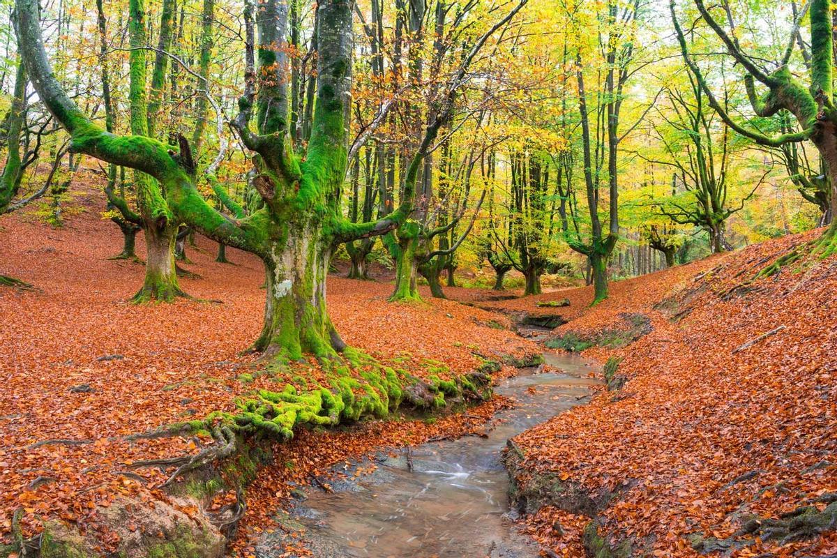 Parque Natural del Gorbea, Álava-Vizcaya