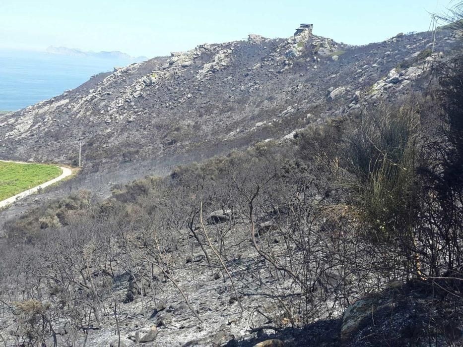 Incendio forestal en Baredo