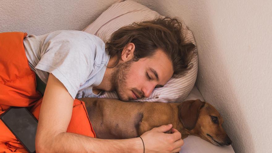 Adiós a dormir con tu perro: estas son las tres enfermedades que te puede contagiar