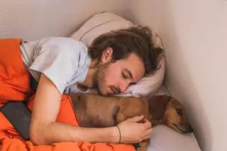Adiós a dormir con tu perro, estás son las tres enfermedades que te puede contagiar