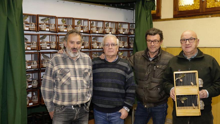 Los canarios dan el do de pecho en Oviedo: más de 150 aves participarán en un concurso de canto