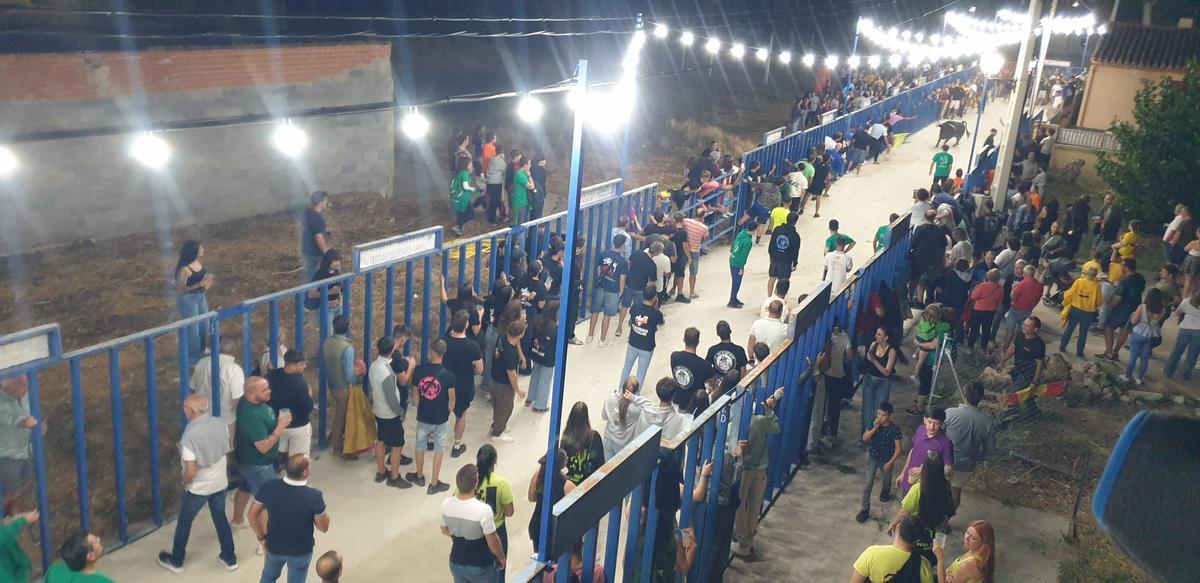 GALERÍA | Venialbo se viste de fiesta para celebrar a San Roque GALERÍA | Venialbo se viste de fiesta para celebrar a San Roque