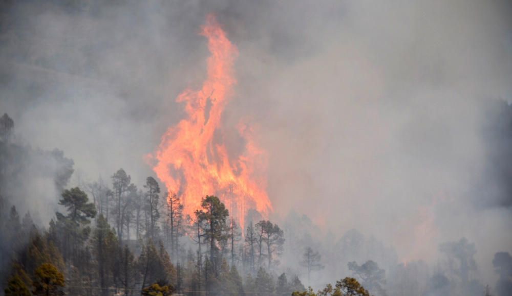 Incendio en Tijarafe