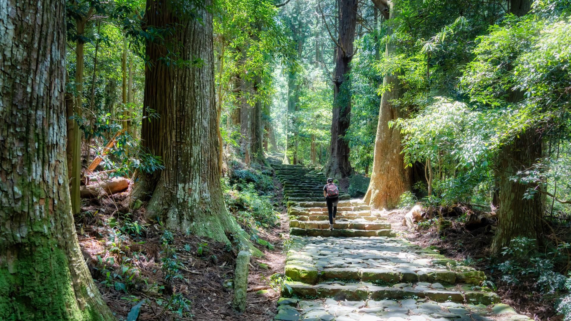 Lo siento Camino de Santiago: la peregrinación más fascinante del mundo recorre bosques sagrados, templos milenarios y el paisaje espiritual más sorprendente de Asia