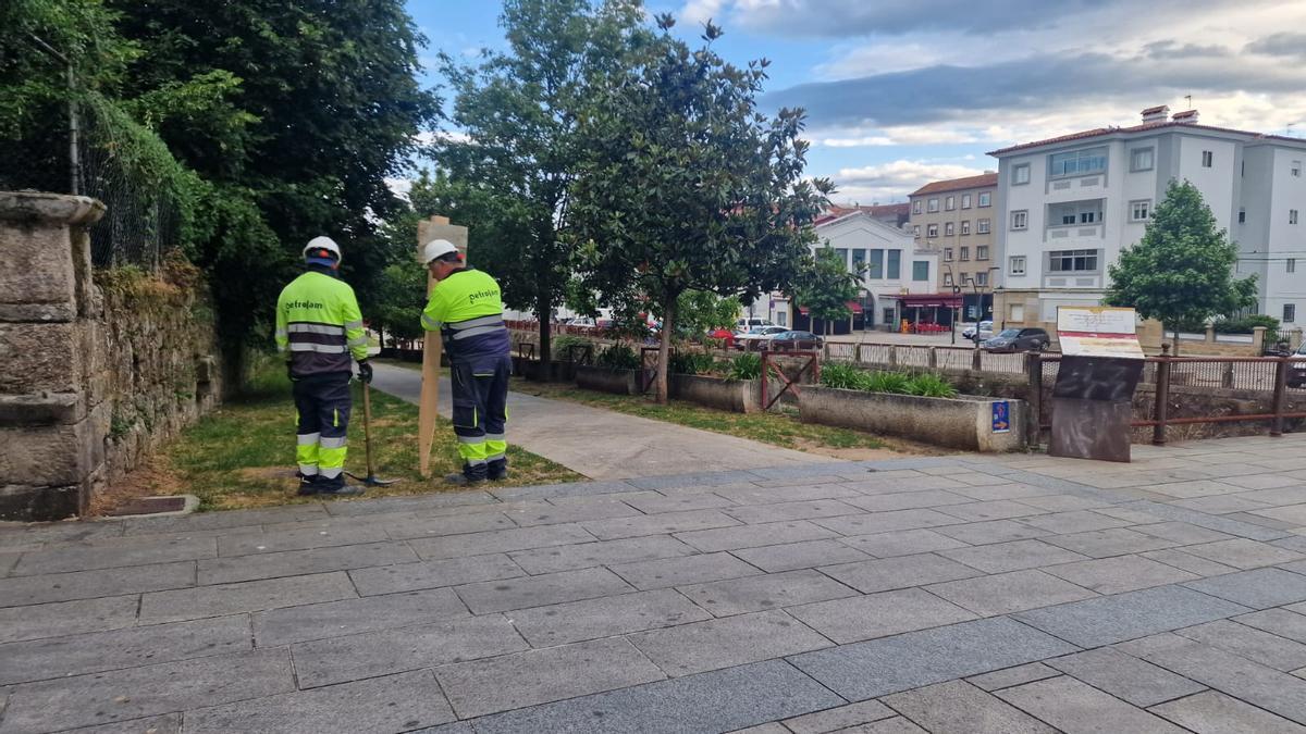 La zona en la que instalar colectores. Al fondo, la plaza de abastos.