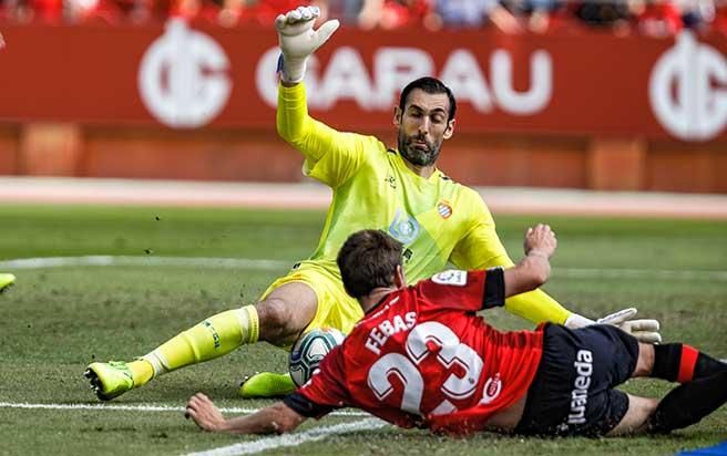 Real Mallorca : Un triunfo reparador