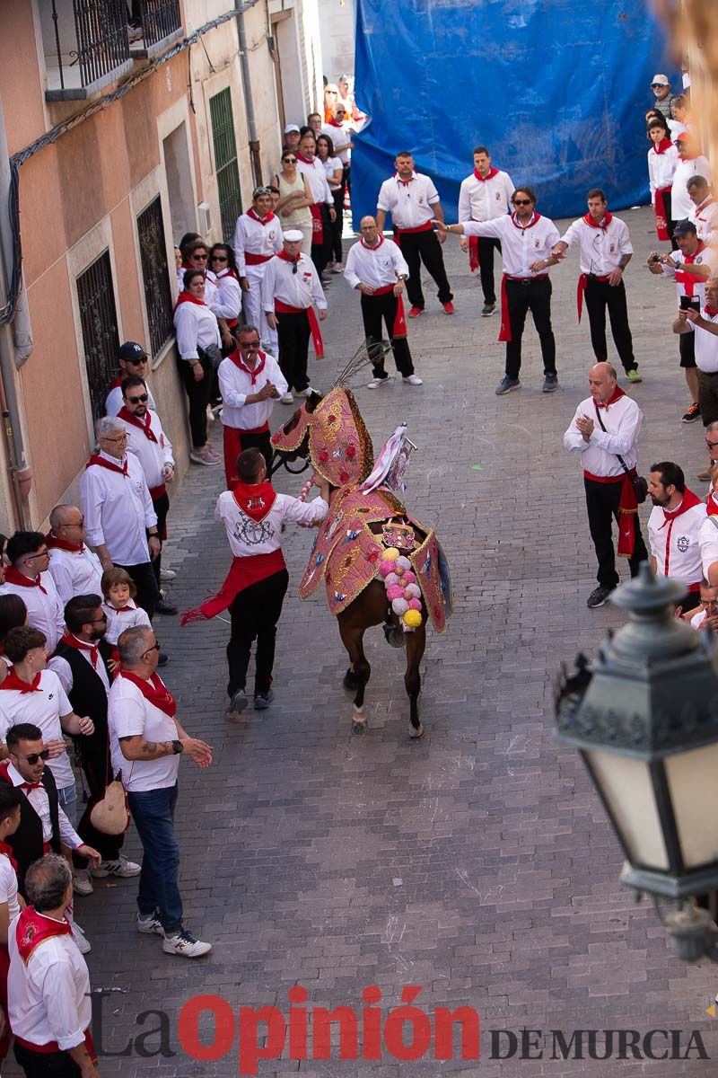 Caballos del Vino en la cuesta de la Simona